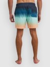 Billabong All Day Fade Boardshorts