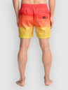 Billabong All Day Fade Boardshorts