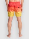 Billabong All Day Fade Boardshorts
