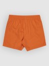 Billabong All Day Lb Boardshorts