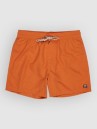 Billabong All Day Lb Boardshorts