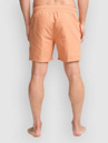 Billabong All Day Lb Boardshorts