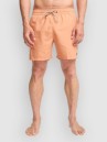 Billabong All Day Lb Boardshorts