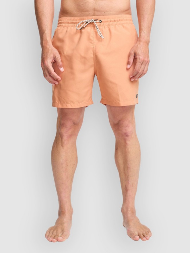 Billabong All Day Lb Boardshorts