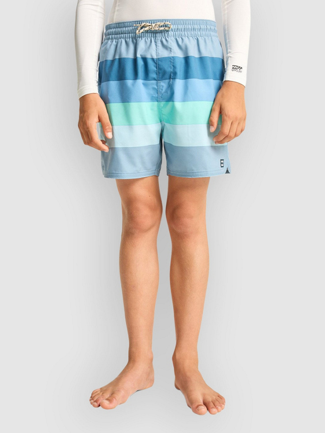 Billabong 73 LB Kids Shorts