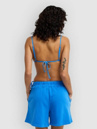 Billabong Springbreak Shorts