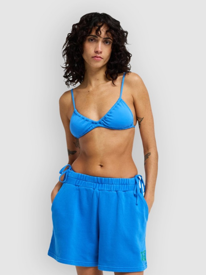Billabong Springbreak Shorts