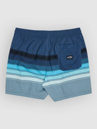Billabong All Day Stripe Shorts