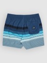 Billabong All Day Stripe Shorts