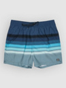 Billabong All Day Stripe Shorts