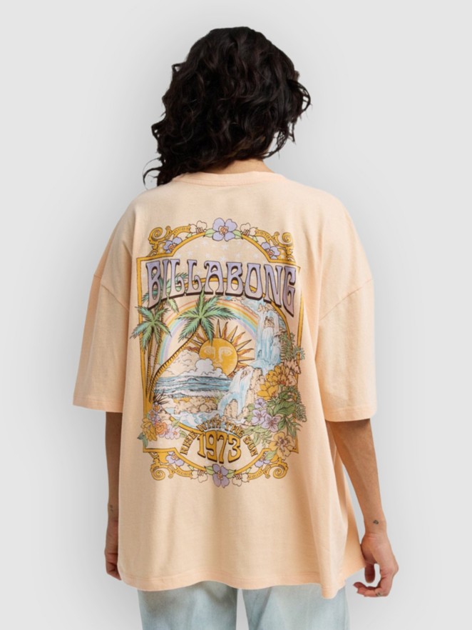 Billabong Waterfall T-Shirt