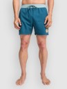 Billabong Dbah Panel Boardshorts