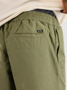 Billabong Larry Linen Short