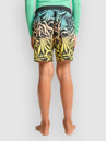 Billabong Radiant Kids Shorts