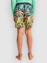 Billabong Radiant Kids Shorts