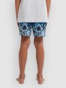 Billabong Radiant Kids Shorts
