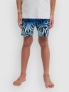 Billabong Radiant Kids Shorts