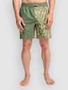 Billabong Reflection Shorts