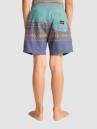 Billabong Spinner Kids Shorts