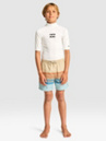 Billabong Spinner Kids Shorts