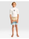 Billabong Spinner Kids Shorts