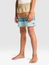 Billabong Spinner Kids Shorts