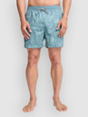 Billabong Vacay Boardshorts