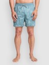 Billabong Vacay Boardshorts