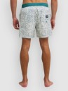 Billabong Vacay Boardshorts