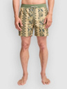 Billabong Vacay Boardshorts