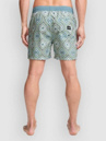 Billabong Vacay Boardshorts