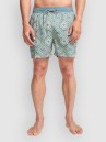 Billabong Vacay Boardshorts