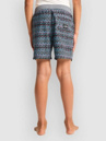 Billabong Vacay Kids Shorts