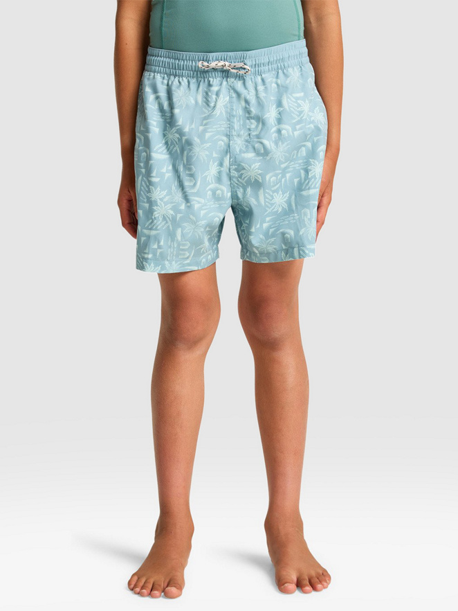 Billabong Vacay Kids Shorts