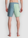 Billabong Ventura Boardshorts
