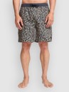 Billabong Wasted Times Shorts