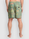 Billabong Wasted Times Shorts