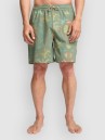 Billabong Wasted Times Shorts