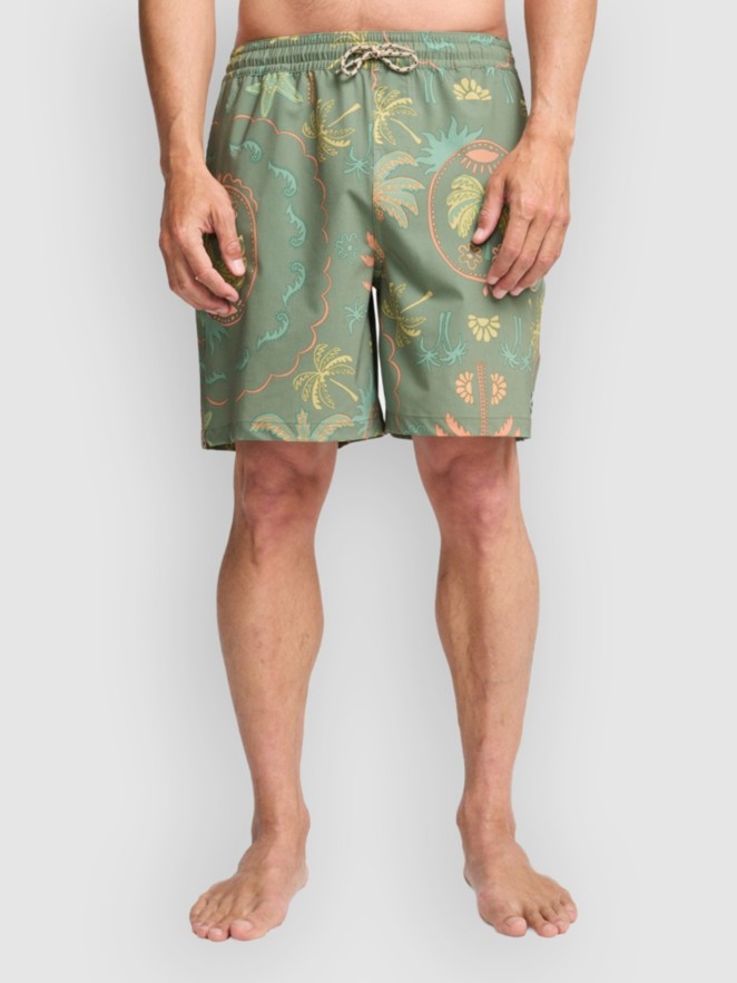Billabong Wasted Times Shorts