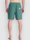 Billabong Wasted Times Shorts