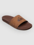 brown 2