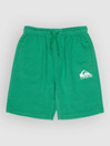 Quiksilver Easy Day Jogger Kids Shorts