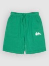 Quiksilver Easy Day Jogger Kids Shortsit
