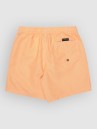 Quiksilver Everyday Deluxe Volley 14 Kids Boardshorts