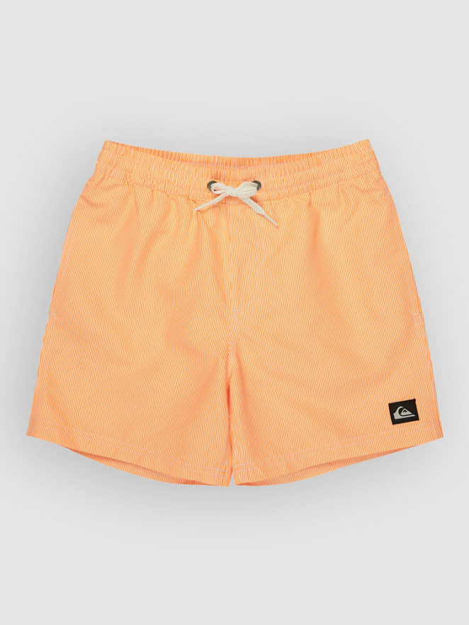 Quiksilver Everyday Deluxe Volley 14 Kids Koupacky