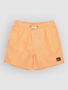 Quiksilver Everyday Deluxe Volley 14 Kids Koupacky