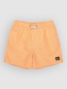 Quiksilver Everyday Deluxe Volley 14 Kids Boardshorts