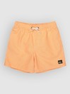 Quiksilver Everyday Deluxe Volley 14 Kids Koupacky