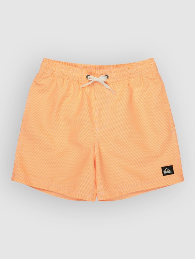 Quiksilver Everyday Deluxe Volley 14 Kids Koupacky