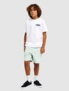 Quiksilver Taxer Cord Kids Calções